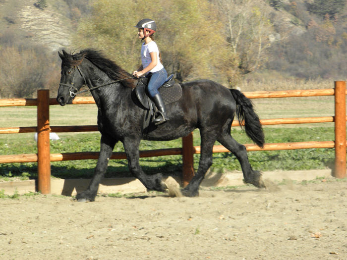 PA261079 - ECHITATIE 2013
