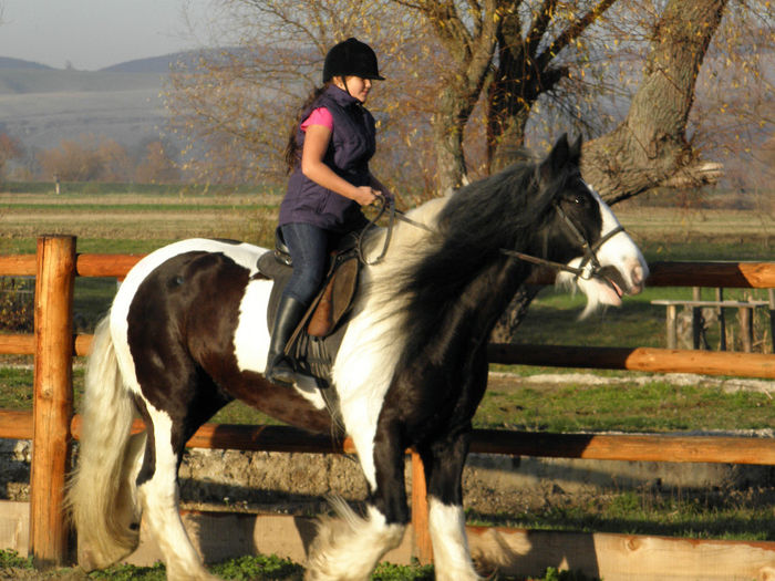PB091225 - ECHITATIE 2013