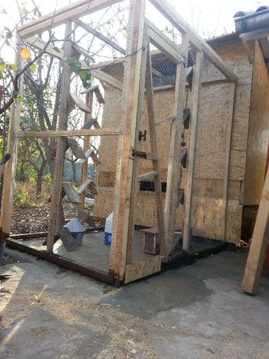 20131110_150816 - B - adapost porumbei