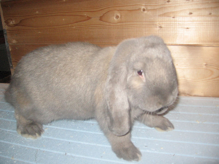 IMG_0081 - 11 10 2013