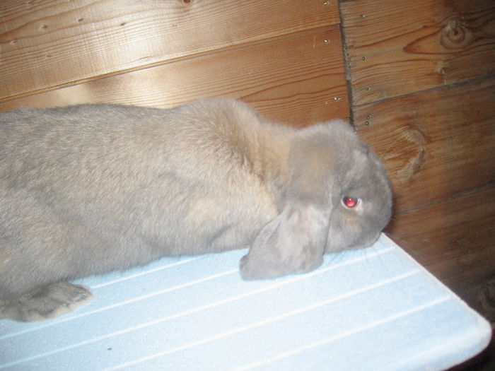 IMG_0082 - 11 10 2013