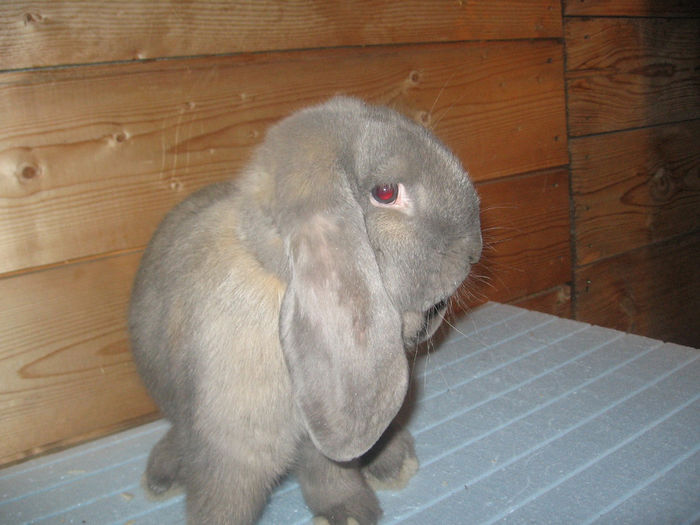 IMG_0084 - 11 10 2013