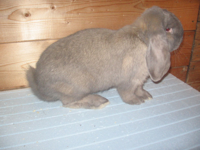 IMG_0086 - 11 10 2013