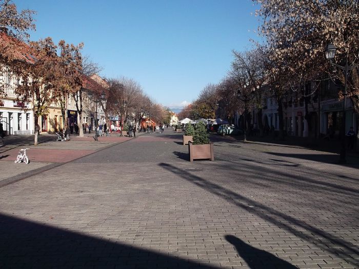 pietonalul bistritean...