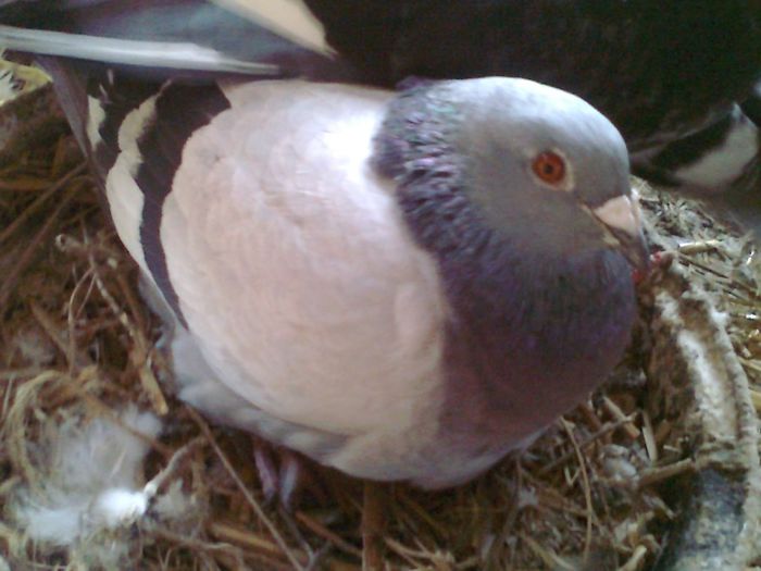 Photo0633