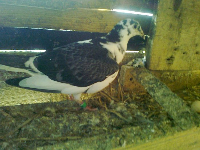 Photo0642