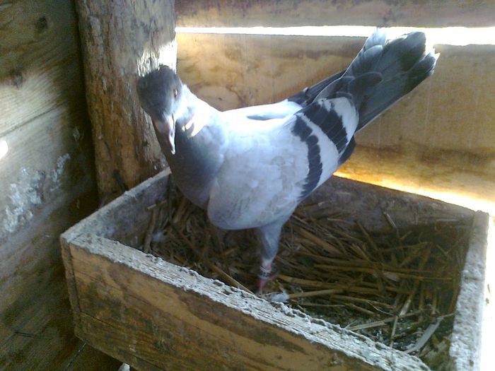Photo0648