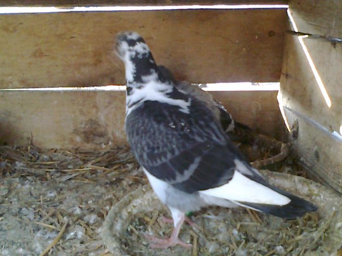 Photo0679