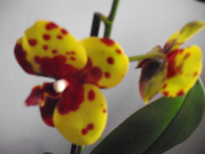 DSCF1500