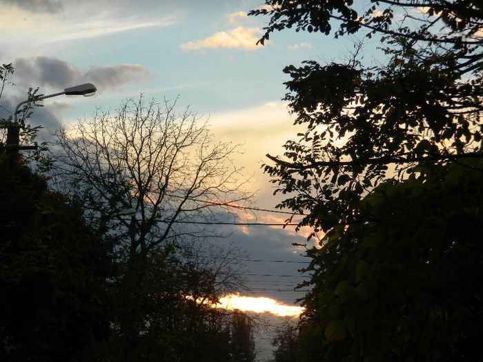 DSCN8046 - NOIEMBRIE 2013