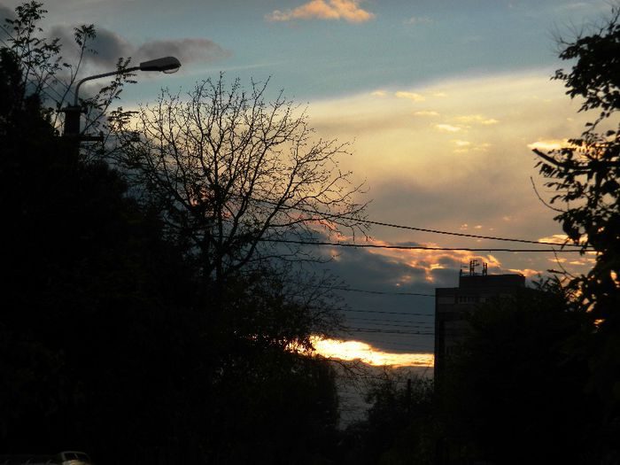 DSCN8047 - NOIEMBRIE 2013