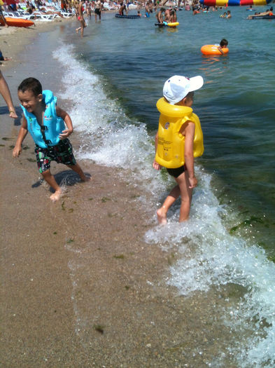 IMG_0739 - Copy