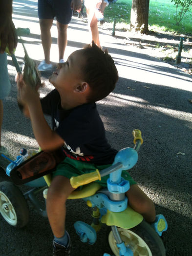 IMG_0390 - Copy