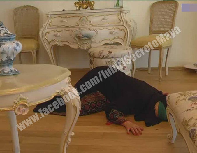 1390574_609099045816958_286817942_n