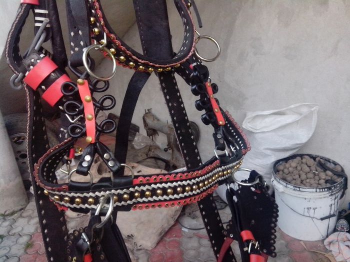 IMG_20131113_162206 - ham optare