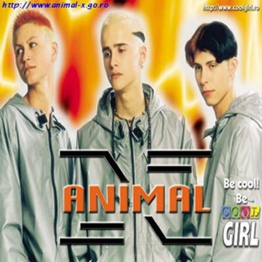 Animal X - Animal X