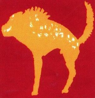 Animal X - Animal X