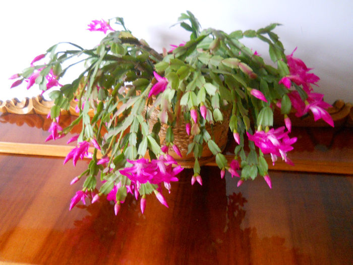 DSCN0001_001