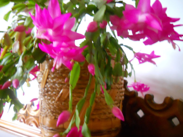 DSCN0002_002
