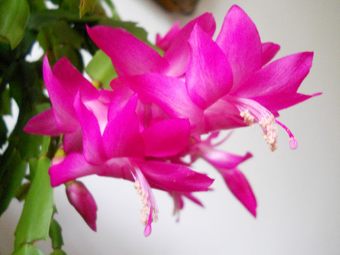 DSCN0003_003