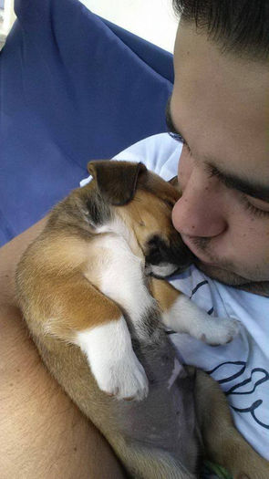 1375720_528122970595392_965843240_n