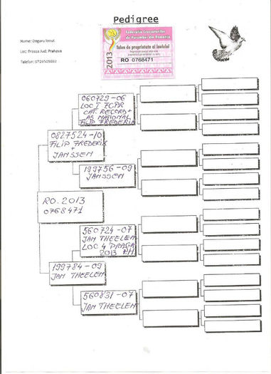 Columbodrom-Kaskadoru-RO-768471-2013-pedigree