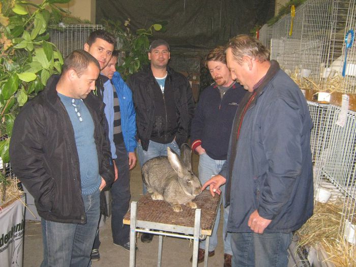 ausstellung_nov13_ 115