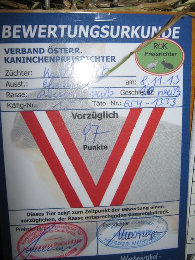 ausstellung_nov13_ 153