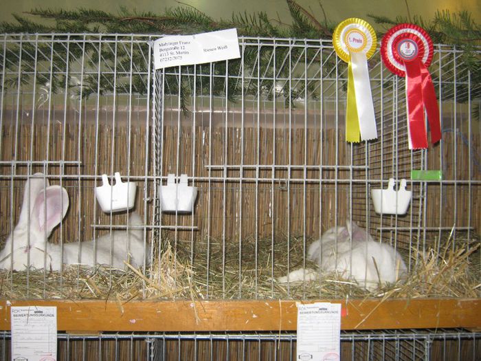 ausstellung_nov13_ 154