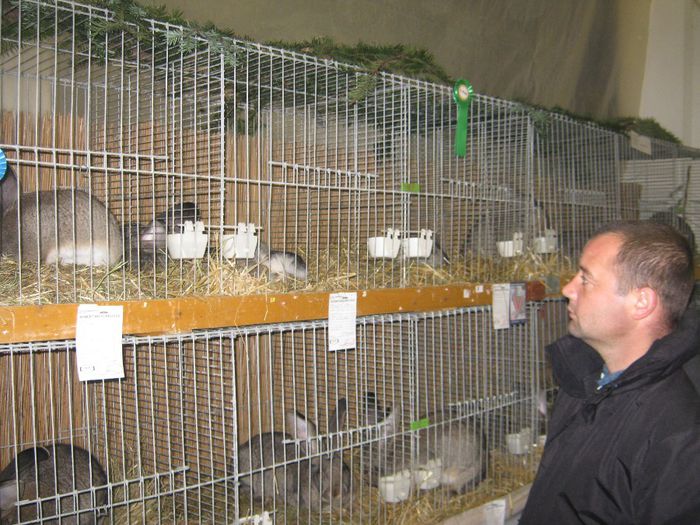 ausstellung_nov13_ 047