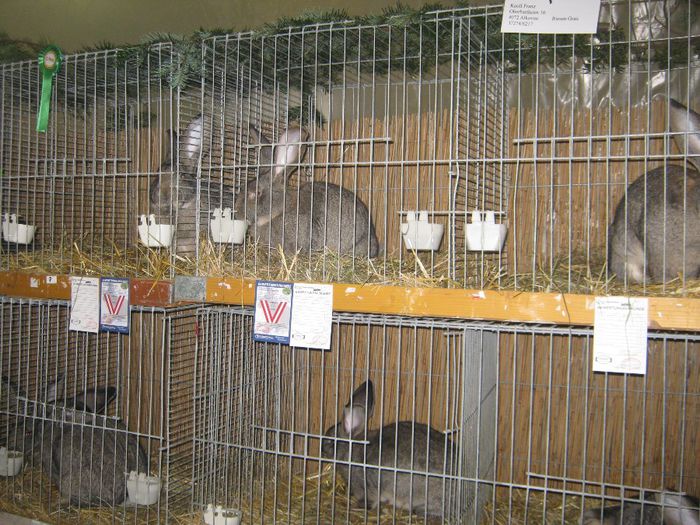 ausstellung_nov13_ 048