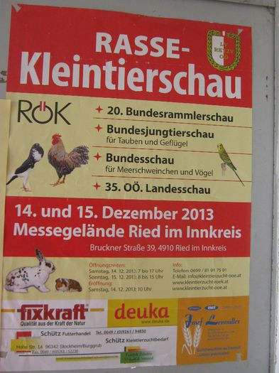 nationala Austriei - 7-anunt important