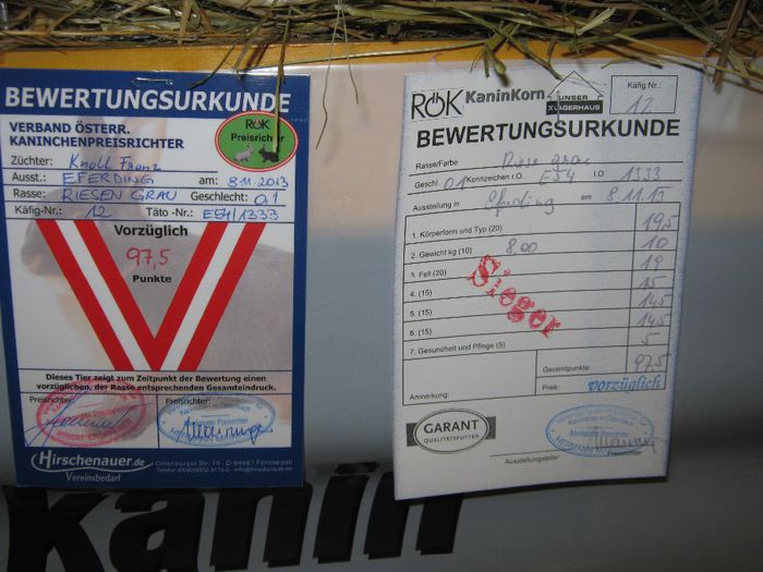 ausstellung_nov13_ 149