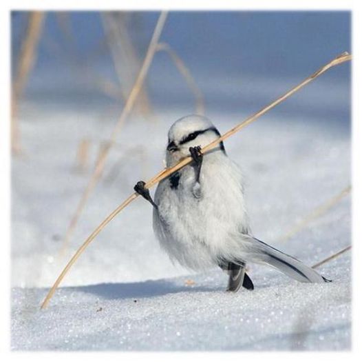 3875_427026624033672_1196109592_n