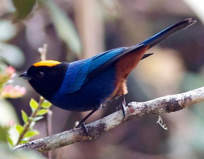 14384_406564719413196_319648491_n