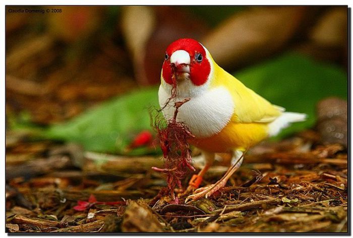 297613_415418471861154_842047848_n