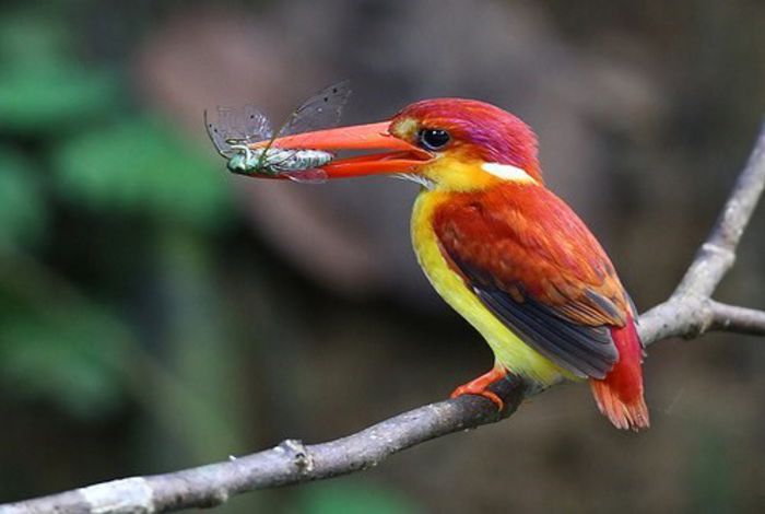 75973_409625902440411_339383810_n