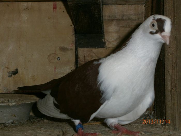 090