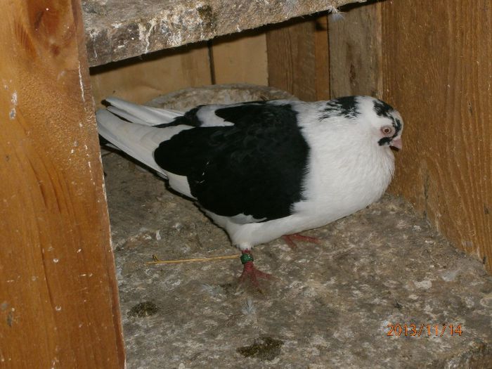 094