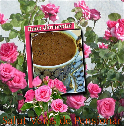 buna dimineata; Buna ziua si bine v-am gasit dragi prieteni.Va invit la o cafea pe forumul nostru www.svdp.forumactual.com precum si pe pagina noastra de facebook www.facebook.com/paginasalutvoiosdepensionar .

