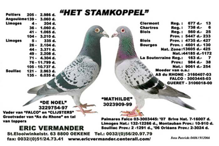 Stamkoppel Vermander Eric