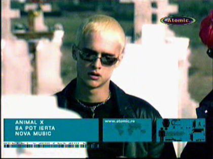 Animal X
