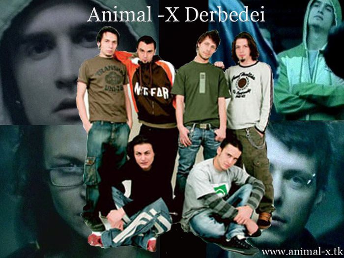 Animal X