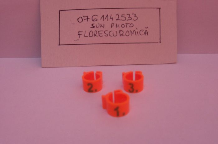 Copy (11) of inele si cleme porumbei 433