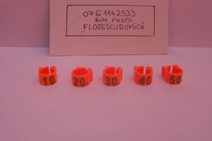 Copy (12) of inele si cleme porumbei 434