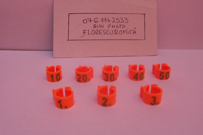 Copy (14) of inele si cleme porumbei 435