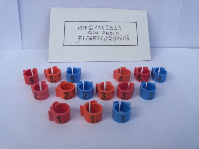 Copy of cleme bricon 2013 007