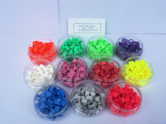 Copy of cleme bricon 2013 010