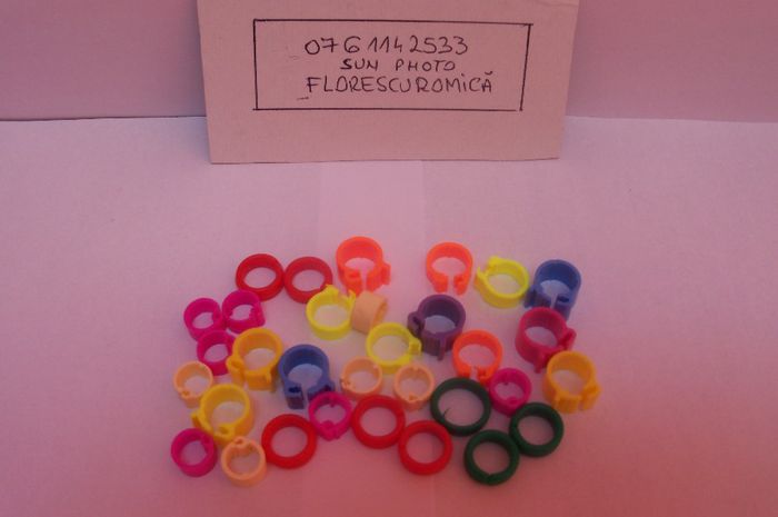 Copy of inele si cleme porumbei 448