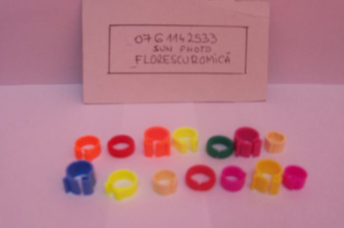 Copy of inele si cleme porumbei 450
